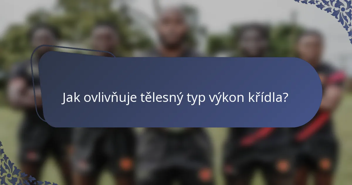 Jak ovlivňuje tělesný typ výkon křídla?
