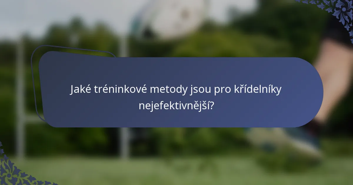 Jaké tréninkové metody jsou pro křídelníky nejefektivnější?